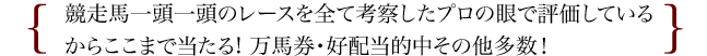 競走馬一頭一頭のレースを全て考察したプロの眼で評価しているからここまで当たる! 万馬券・好配当的中その他多数！