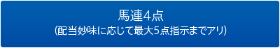 馬連4点（配当妙味に応じて最大5点指示までアリ）